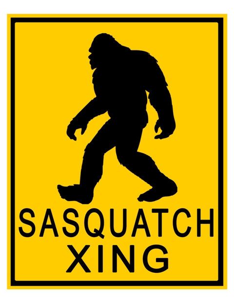 Sasquatch Silhouette Vector at GetDrawings | Free download