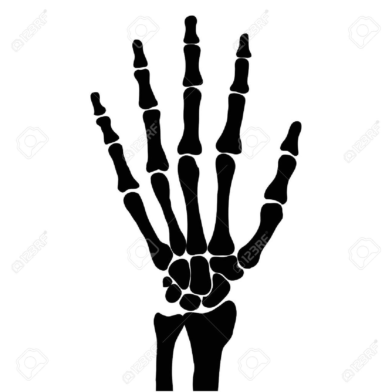 1300x1300 Bones Clipart Skellington 3088538