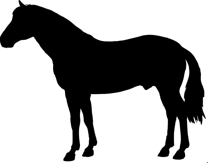 728x571 Scroll Saw Silhouette Of Horses Patterns