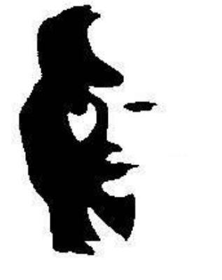 317x400 Optical Illusions