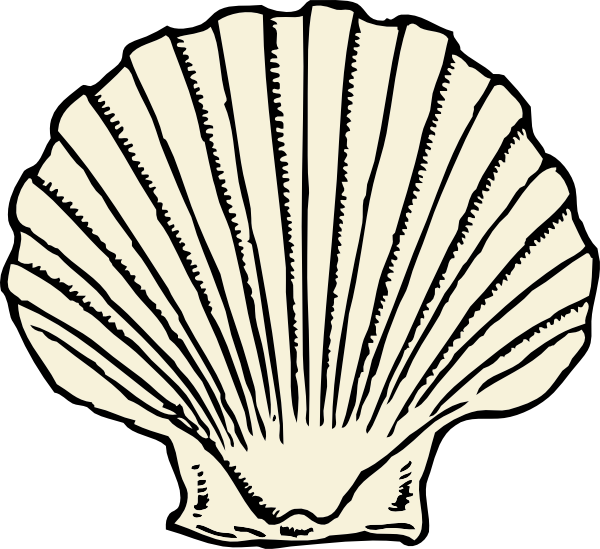 600x549 Scallop Shell Clip Art