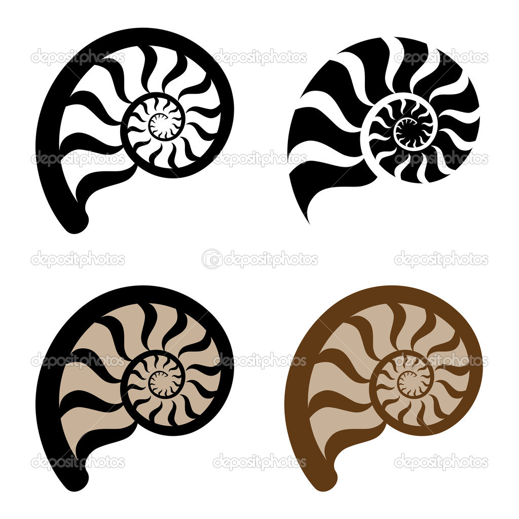 1024x1024 Best Photos Of Sea Shell Silhouette