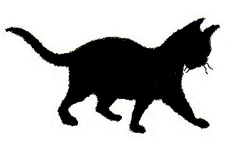 323x205 Other Black Cat Symbols And Meanings