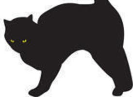 274x200 Scary Black Cat Silhouette