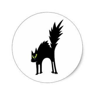 324x324 Scary Cat Green Stickers Zazzle