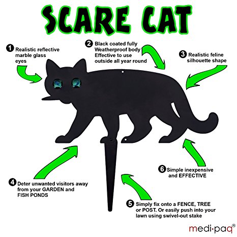 466x466 Medipaq Garden Scare Cat With Reflective Marble Eyes