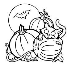 230x230 Top 25 Free Printable Halloween Cat Coloring Pages Online