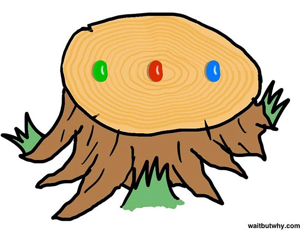 634x475 Optical Illusion Sends The Internet Into A Frenzy As People Try