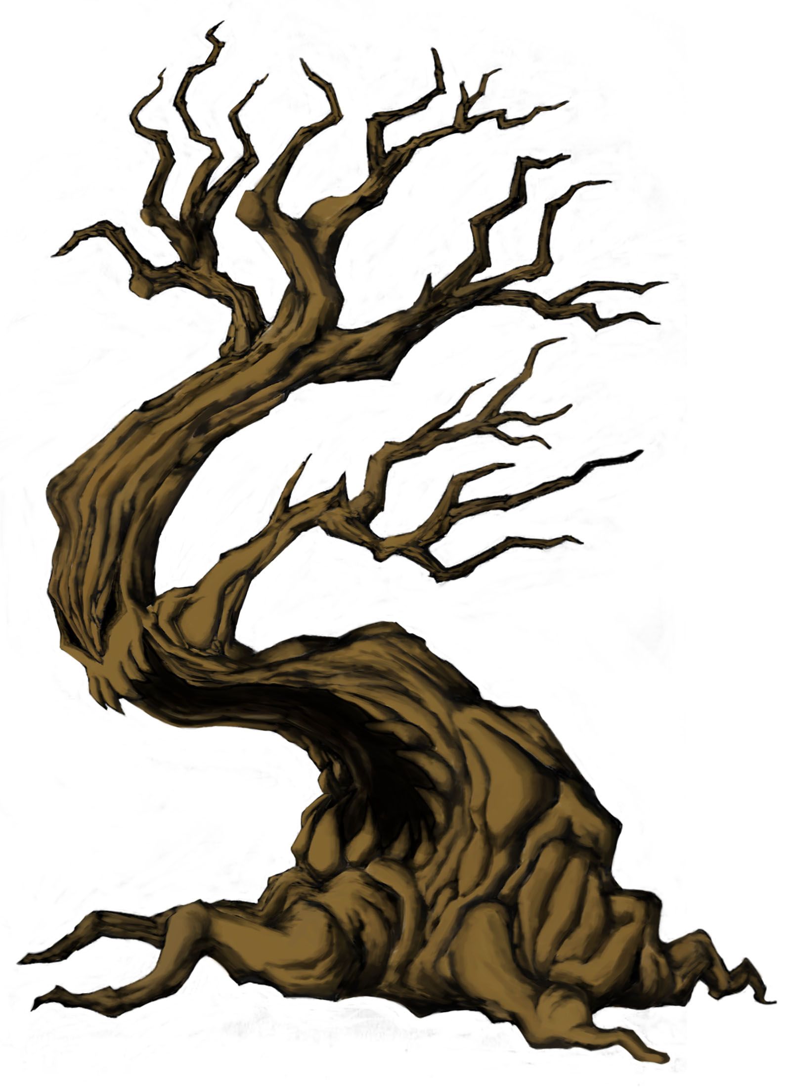 1600x2200 Pictures Creepy Tree Sketches,