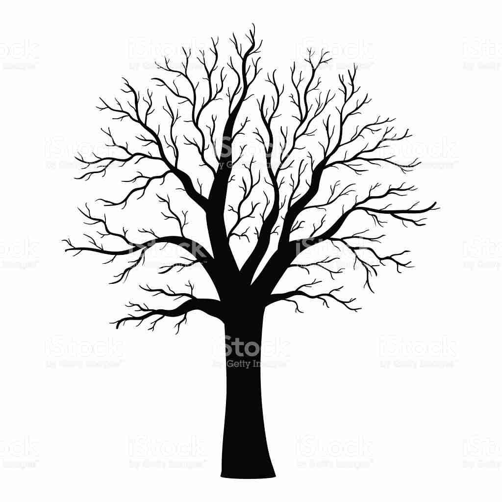 1024x1024 An Illustration Of A Scary Bare Black Tree Silhouette Royalty Free