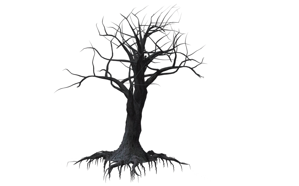 1024x639 Creepy Tree Drawing Creepy Tree 03 By Wolverine041269 Ravens