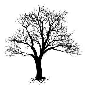 295x300 Tree Silhouette Black Royalty Free Photos And Vectors