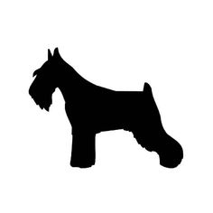 236x236 Schnauzer Dog Detailed Silhouette Decal Sticker Schnauzer Dogs