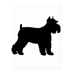 307x307 Schnauzer Silhouette Postcards Zazzle