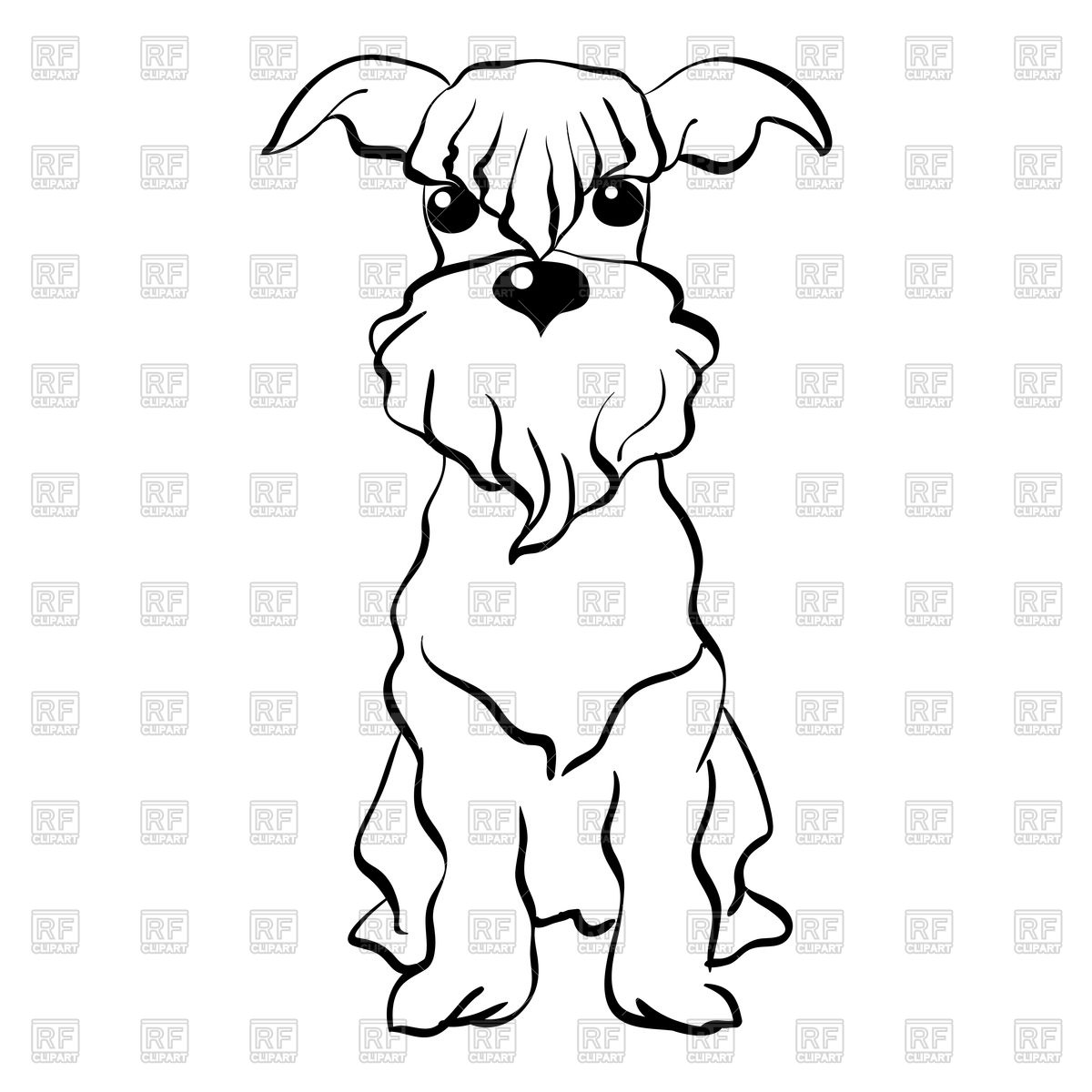 1200x1200 Funny Dog Miniature Schnauzer Breed Royalty Free Vector Clip Art