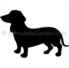 236x234 Schnauzer Silhouette Clip Art. Download Free Versions Of The Image