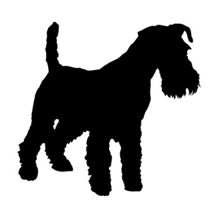 450x450 Decals Stickers Vinyl Decals Car Decals Cricut