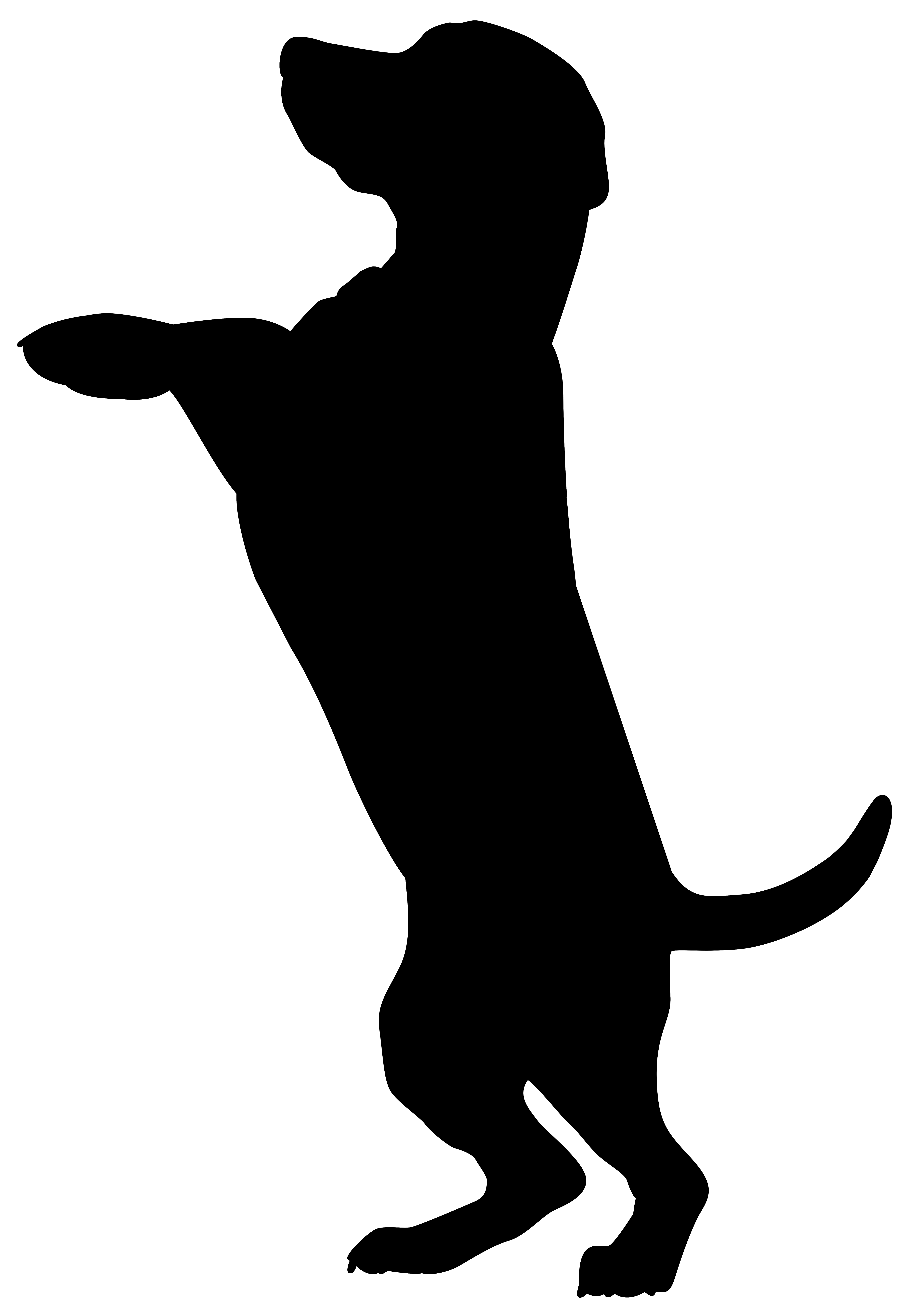 5560x8000 Dog Silhouettes Dog Silhouettes Backgrounds