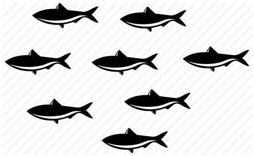 512x314 Fishes, Many Fish, School Of Fish, Sea, Sealife, Team, Underwater