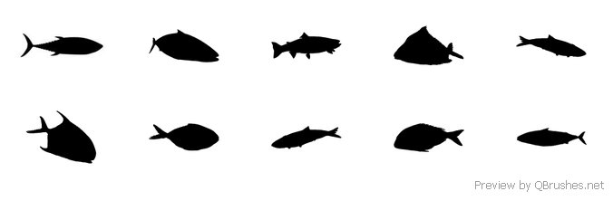 676x222 School Of Fish Brush Set