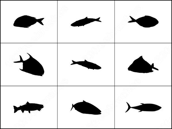 598x449 School Of Fish Brush Photoshop Brushes In Photoshop Brushes Abr