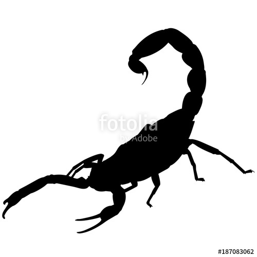 500x500 Scorpion Silhouette Vector Graphics Stock Image And Royalty Free