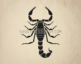 340x270 Scorpion Silhouette Etsy