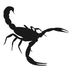 250x250 Scorpion Silhouette Silhouettes Scorpion