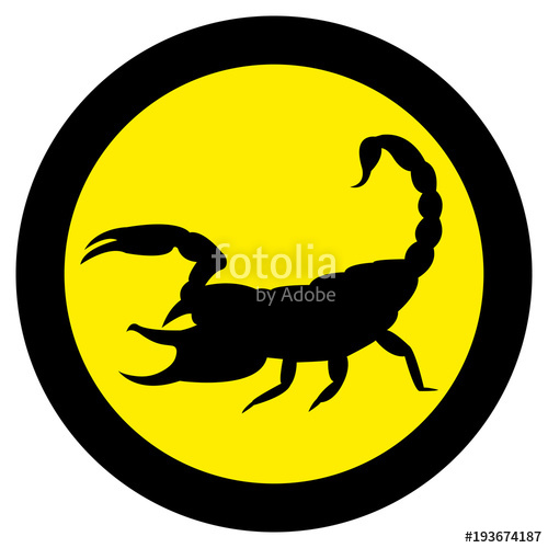 500x500 Vector Image Of A Silhouette Of A Scorpion On A Yellow Background