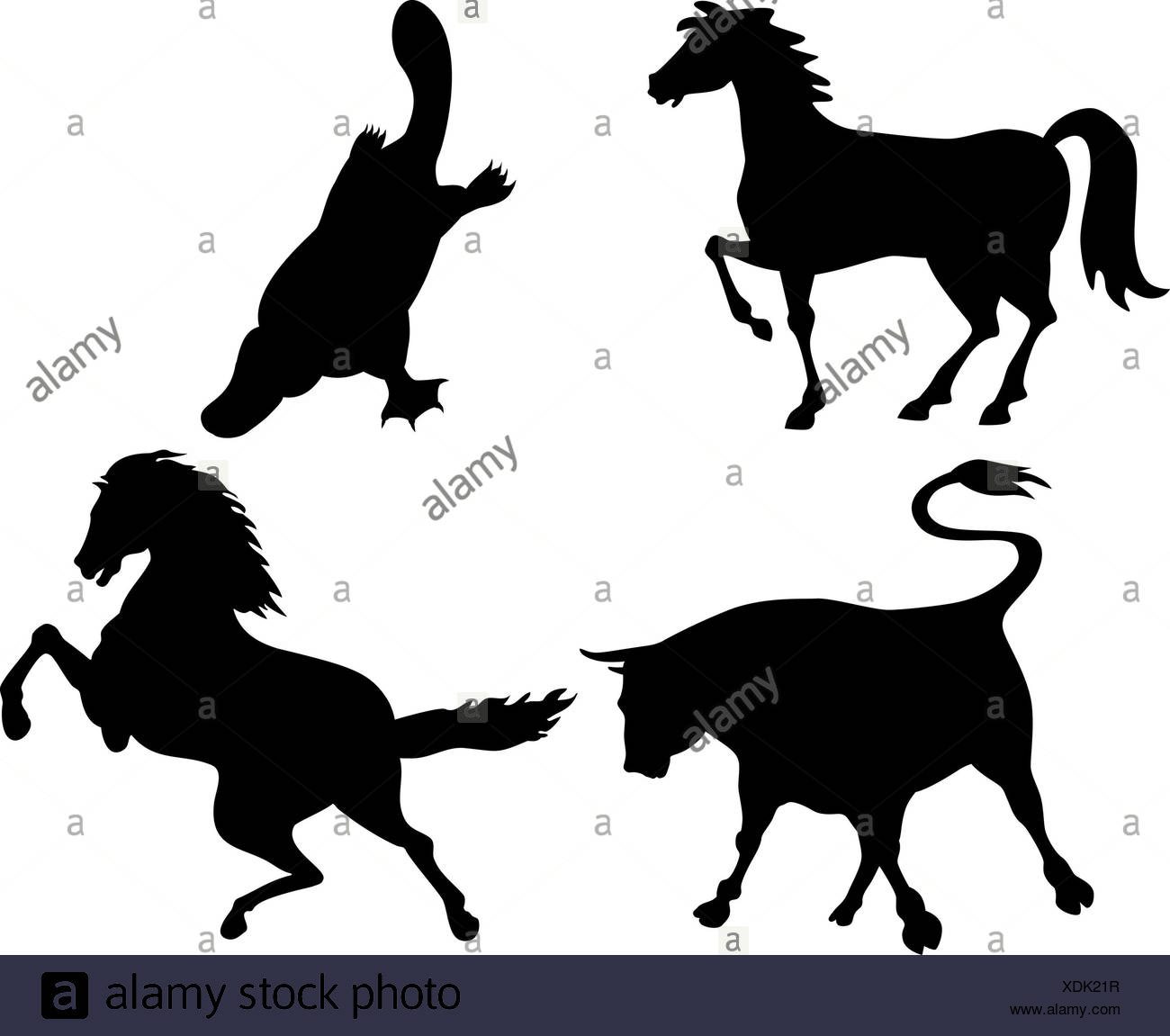 1300x1151 Cow Silhouettes Stock Photos Amp Cow Silhouettes Stock Images