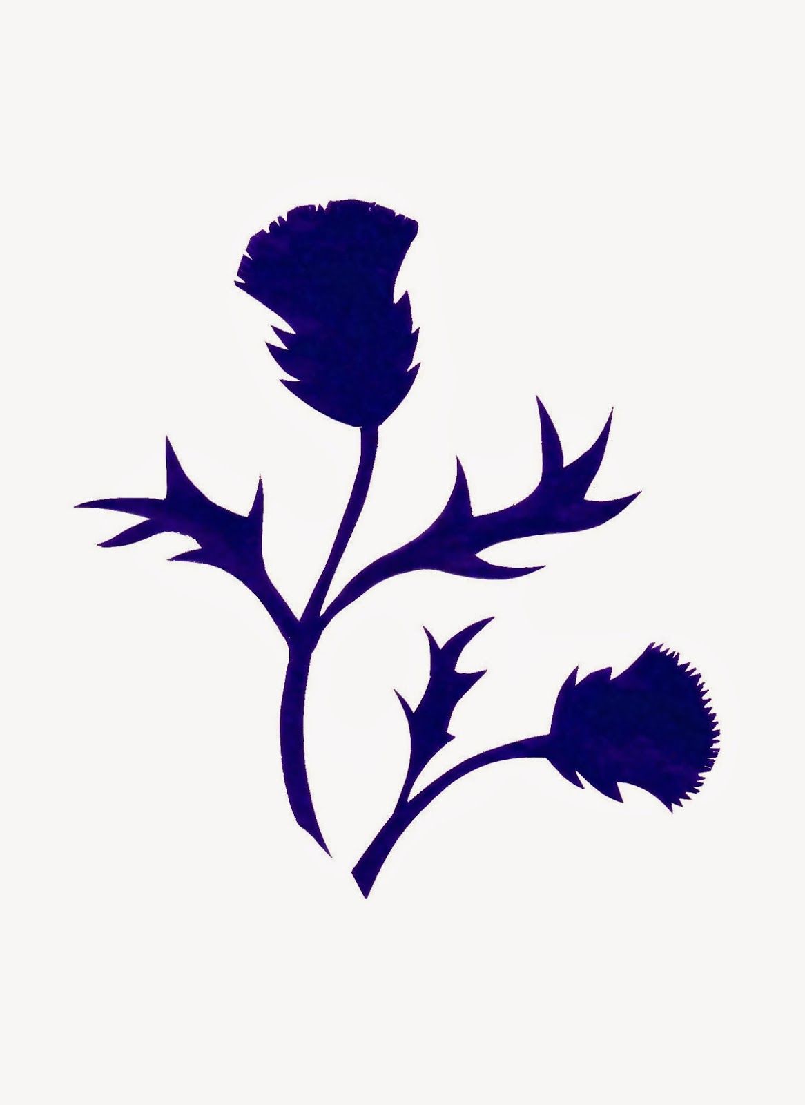 1166x1600 Thistle Silhouette By Sue Small
