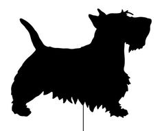 Scottie Silhouette