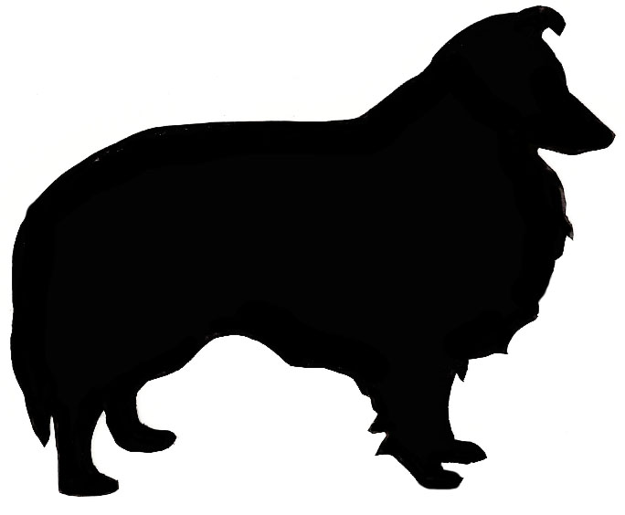 684x564 Scottish Terrier