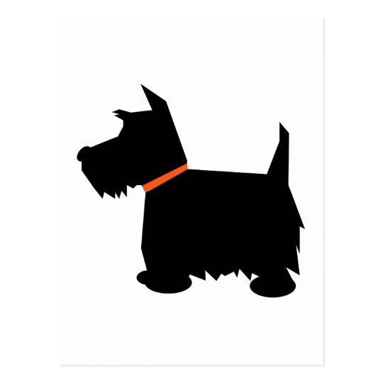 540x540 Scottish Terrier Dog Black Silhouette Postcard