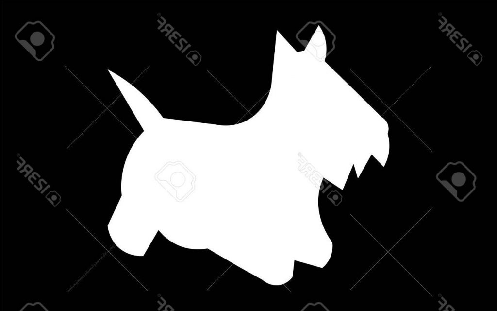1024x640 Best 15 White Scottie Dog Silhouette On Black Background Pictures