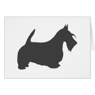 307x307 Scottish Terrier Cards Amp Invitations