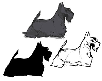 340x270 Scottish Template Etsy