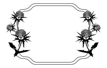 373x240 Search Photos Dead Wood