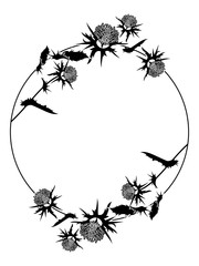 180x240 Search Photos Thorns