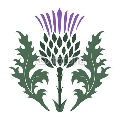 Scottish Thistle Silhouette at GetDrawings | Free download