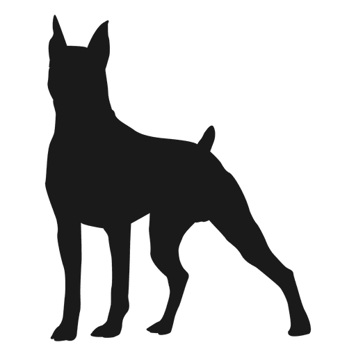512x512 Poodle Silhouette Png Mydrlynx