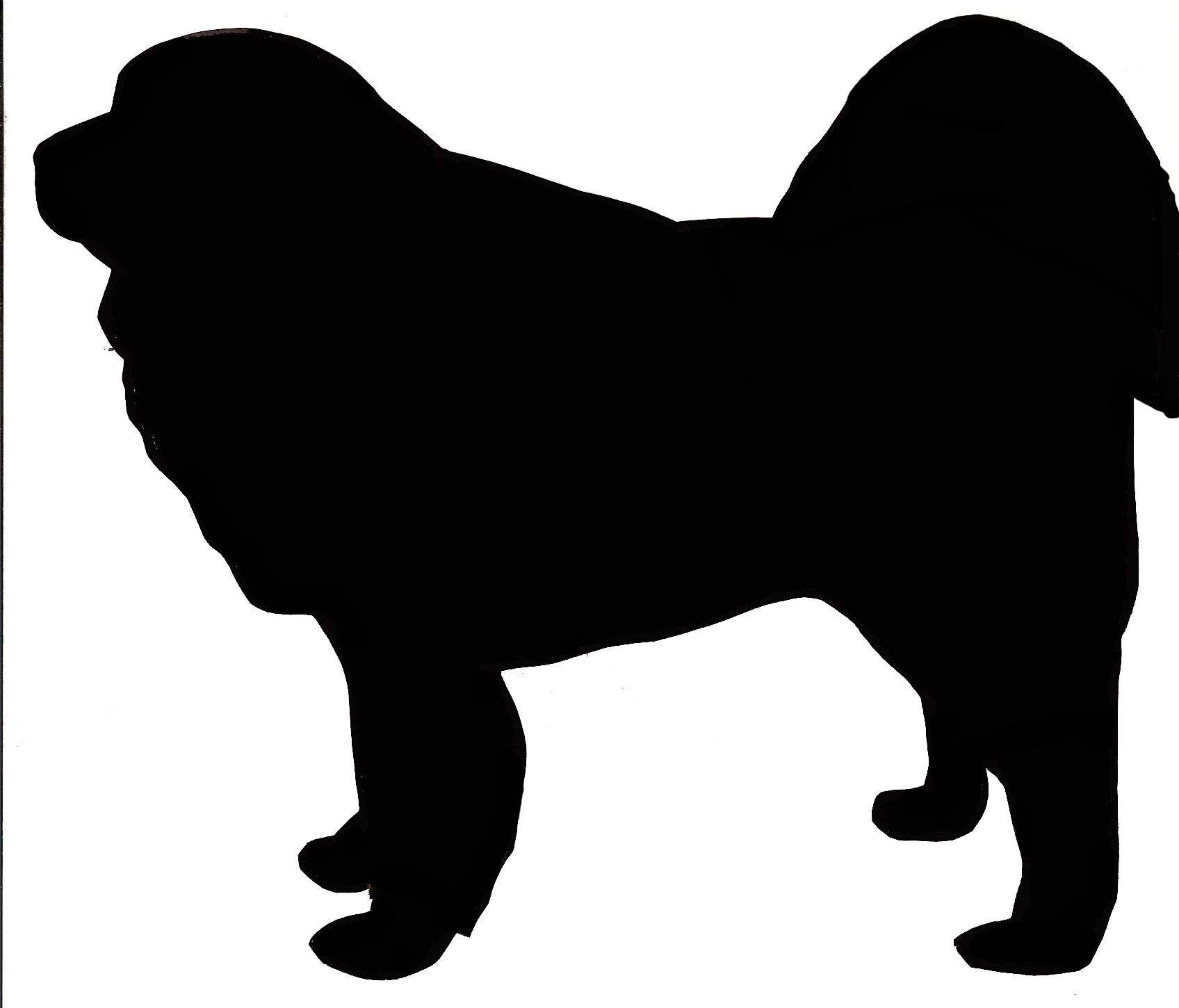 1696x1450 Scottish Terrier