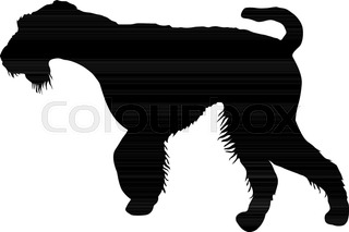 320x213 Dog Scotch Terje Animal Isolated Stock Vector Colourbox