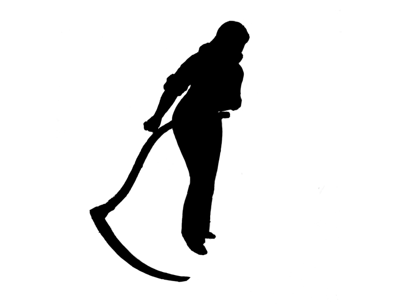 800x600 Scythe Egan Associates