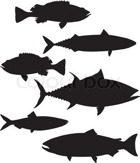 275x320 A Hundred Silhouettes Of Fish And Sea Animals Stock Vector