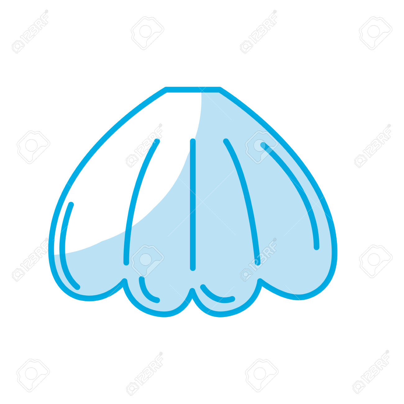 1300x1300 Beautiful Clipart Sea Animal