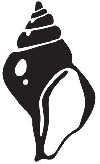 196x320 3059 Best Paper Cut And Silhouette Images