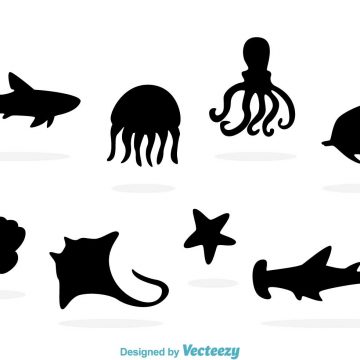 360x360 Sea Life Archives My Graphic Hunt