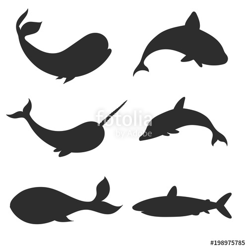500x500 Set Of Vector Underwater Life Silhouettes With Whales, Shark