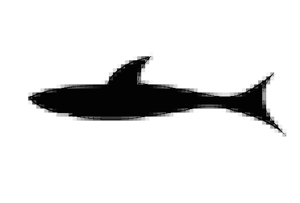 595x404 Fish, Angle, Vacation, Dark, Travel, Silhouette, Outline, Black